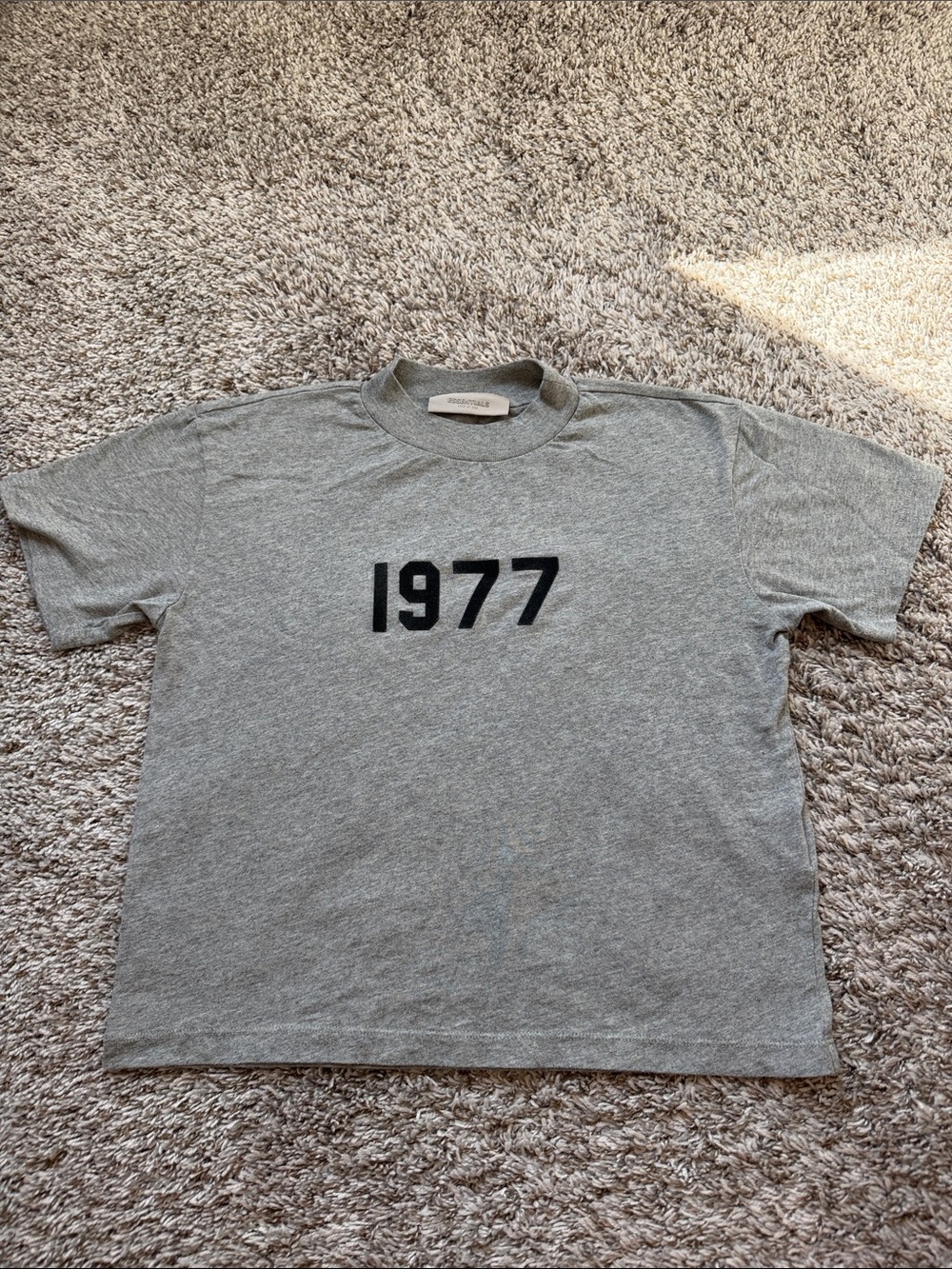 Essentials Gray '1977' Short Sleeve Tee